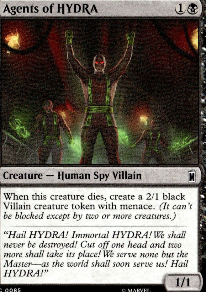 Agents Of Hydra graded slab