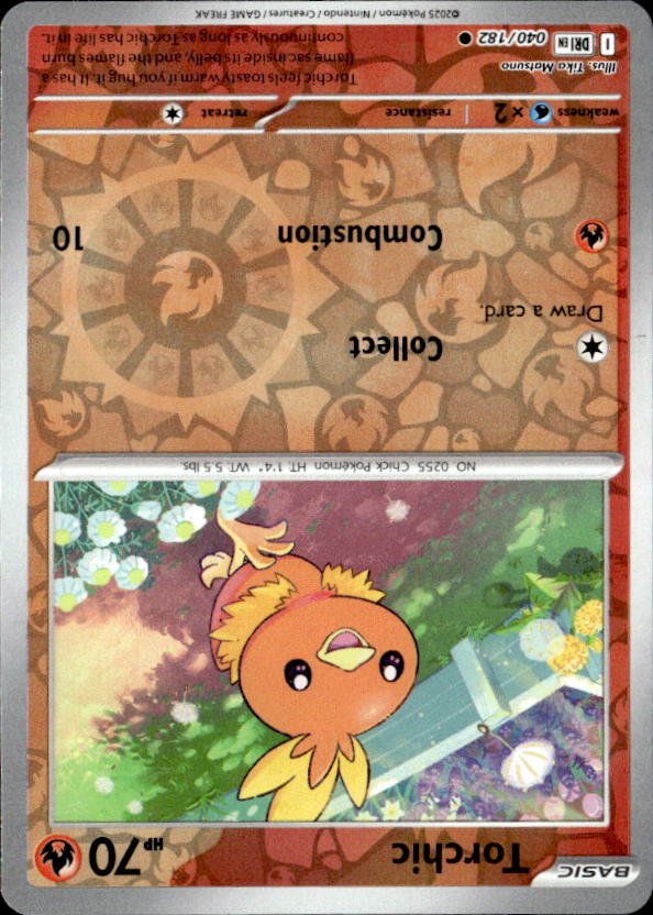 Torchic graded slab