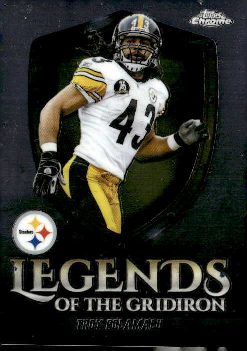Troy Polamalu graded slab