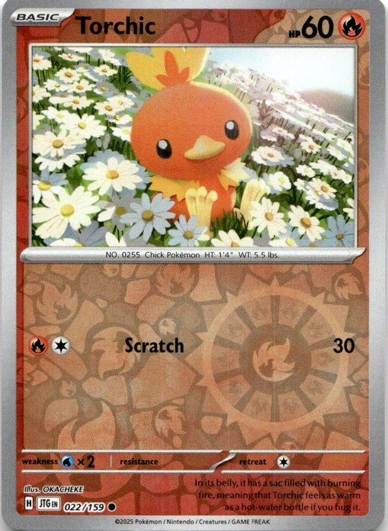 2025 Pokemon Scarlet And Violet Torchic graded slab