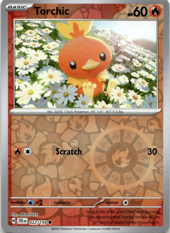 Torchic graded slab