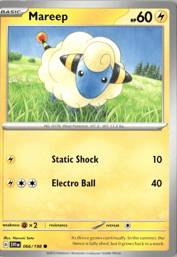 Mareep graded slab