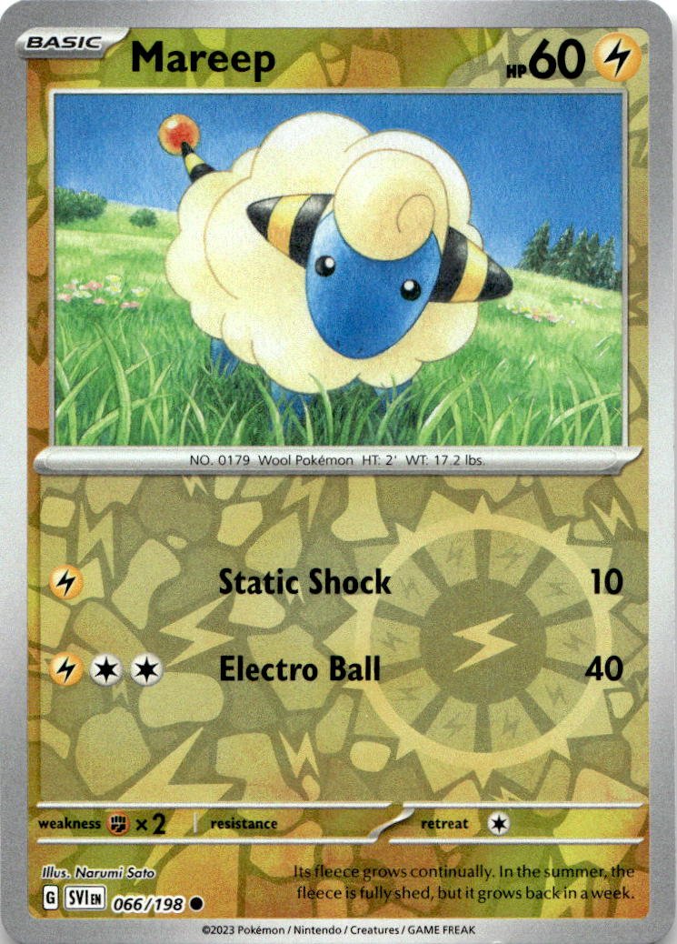 Mareep graded slab
