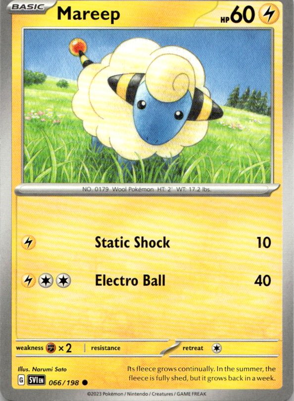 Mareep graded slab