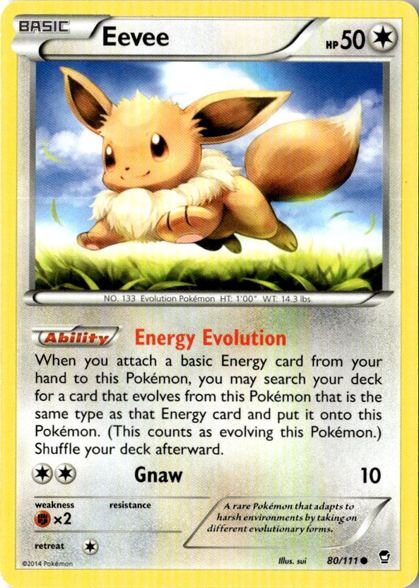 2014 Pokemon Xy Eevee graded slab