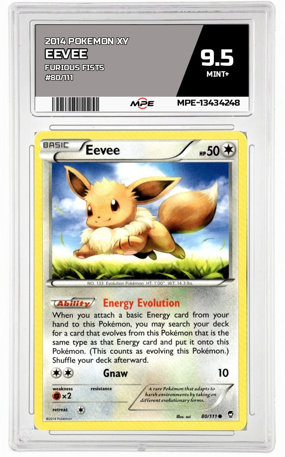 2014 POKEMON XY FURIOUS FISTS #80/111 EEVEE MPE 9.5 MINT+ — graded card auctioned from the MPE vault