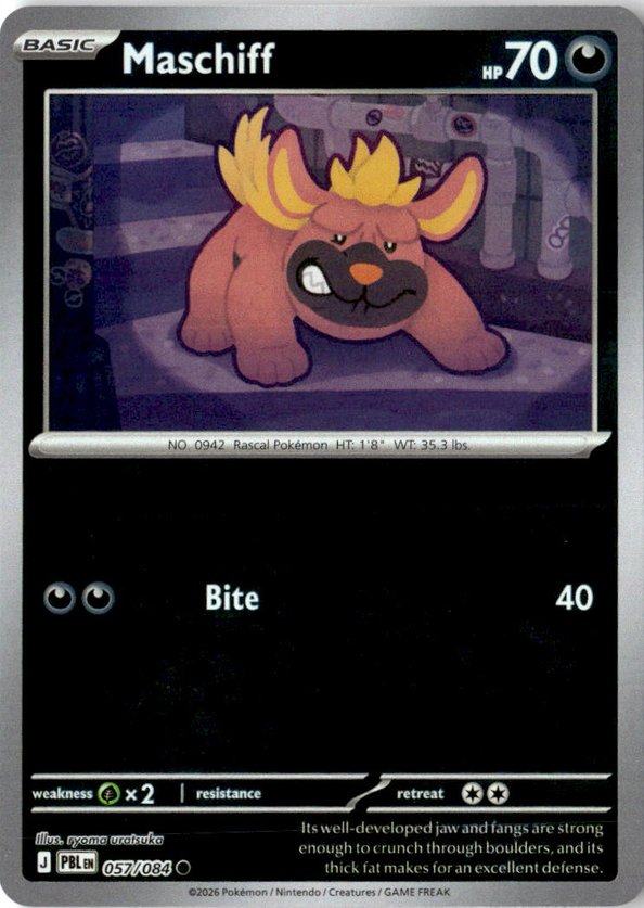 2026 Pokemon Mega Evolution Maschiff graded slab