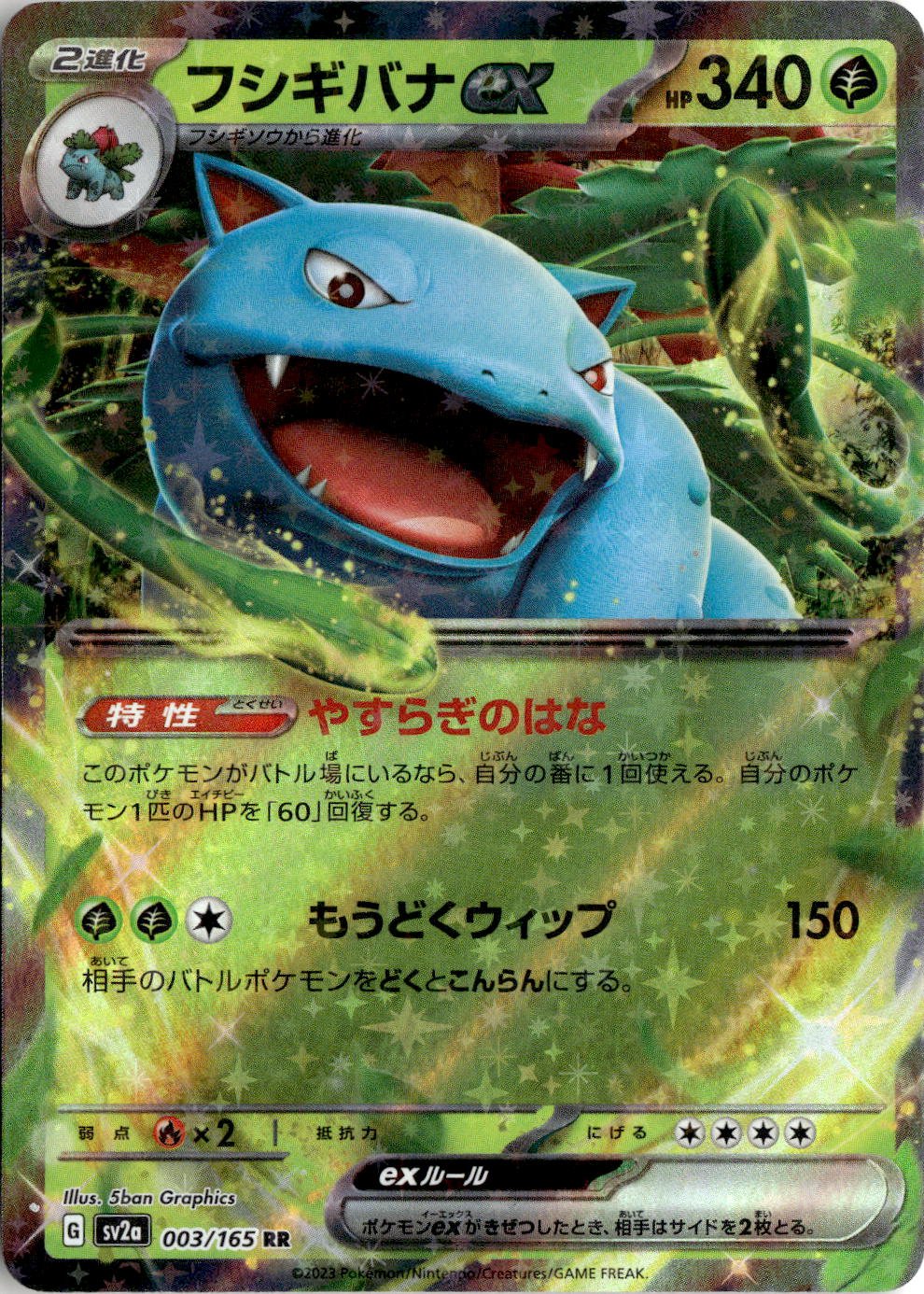 Venusaur EX graded slab