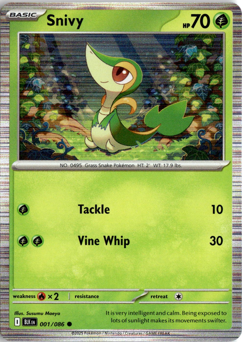 Snivy graded slab