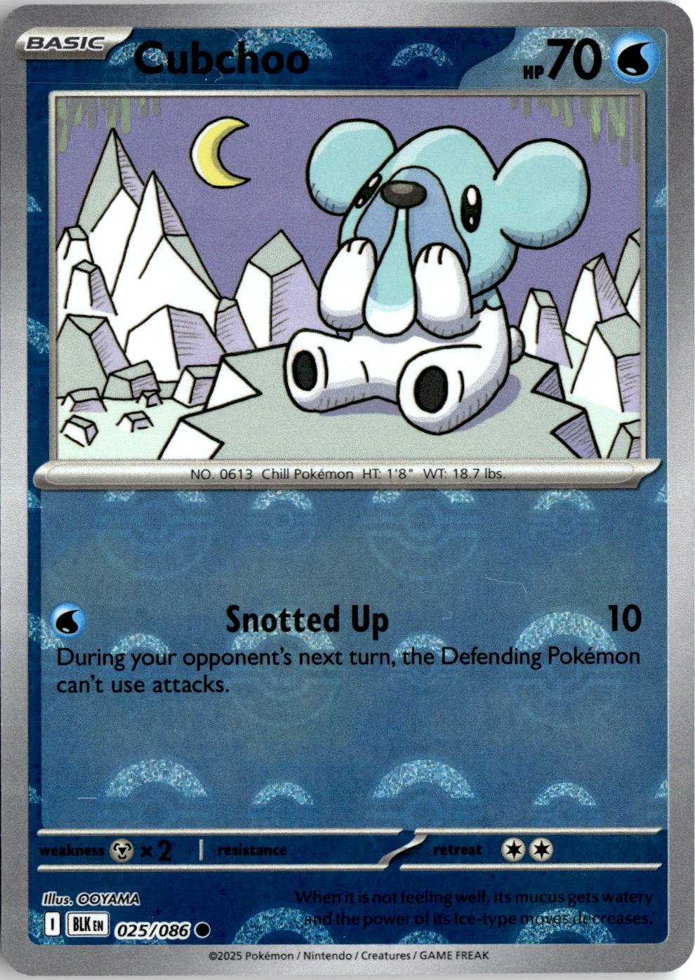 2025 Pokemon Scarlet And Violet Cubchoo graded slab