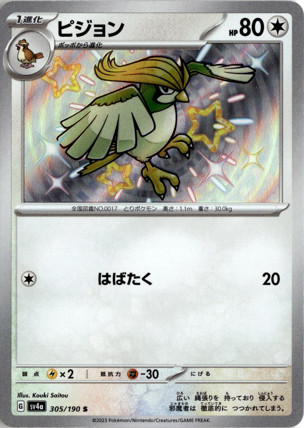 Pidgeotto graded slab