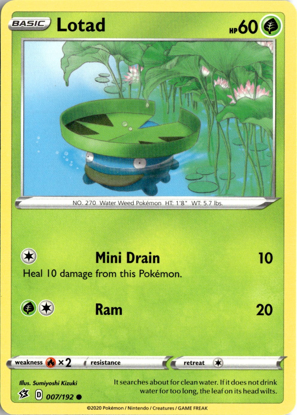 2020 Pokemon Swsh Lotad graded slab