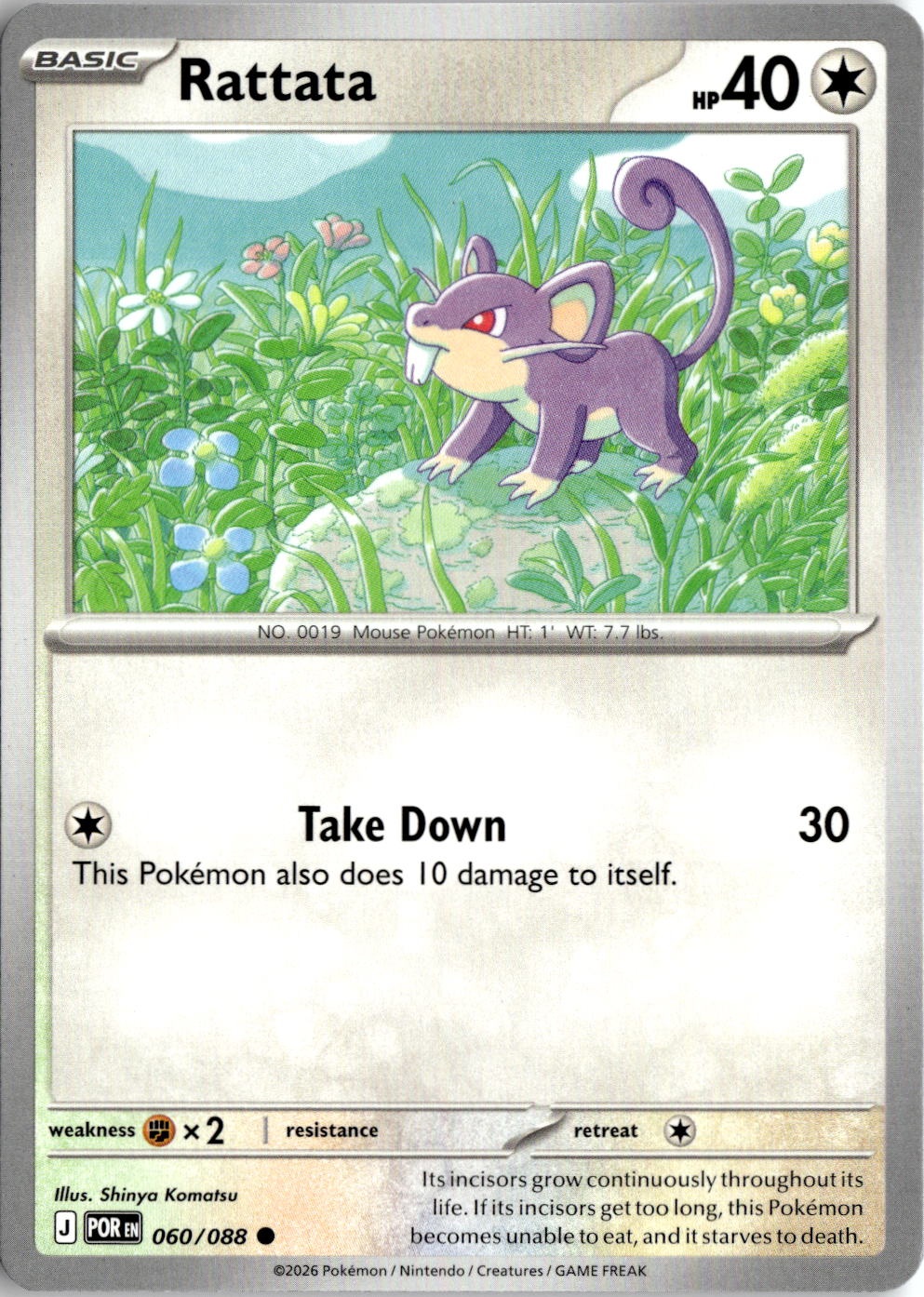 Rattata graded slab