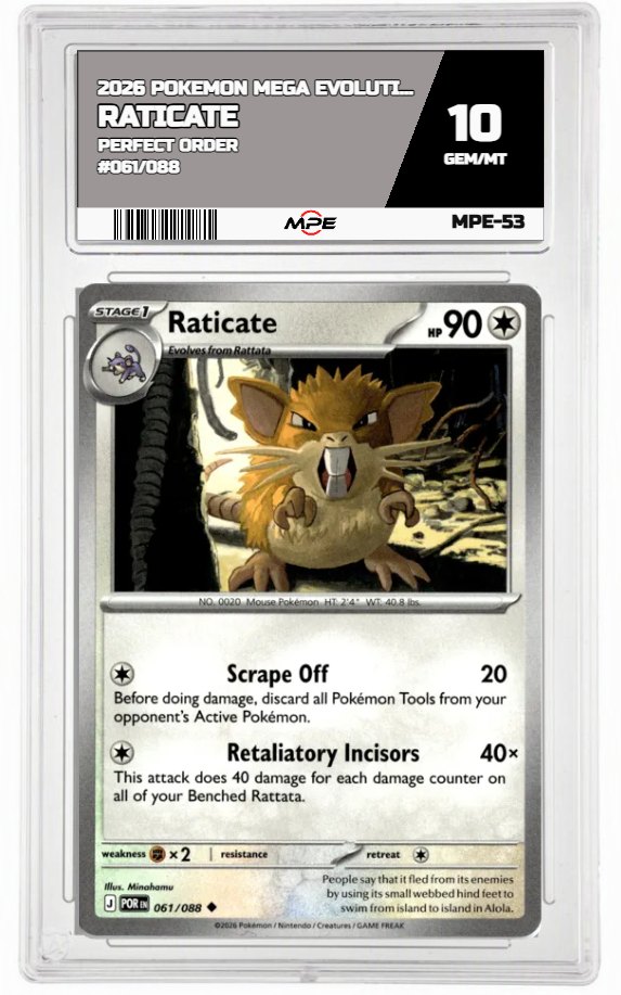 2026 POKEMON MEGA EVOLUTION PERFECT ORDER #061/088 Raticate MPE 10 GEM/MT — graded card auctioned from the MPE vault