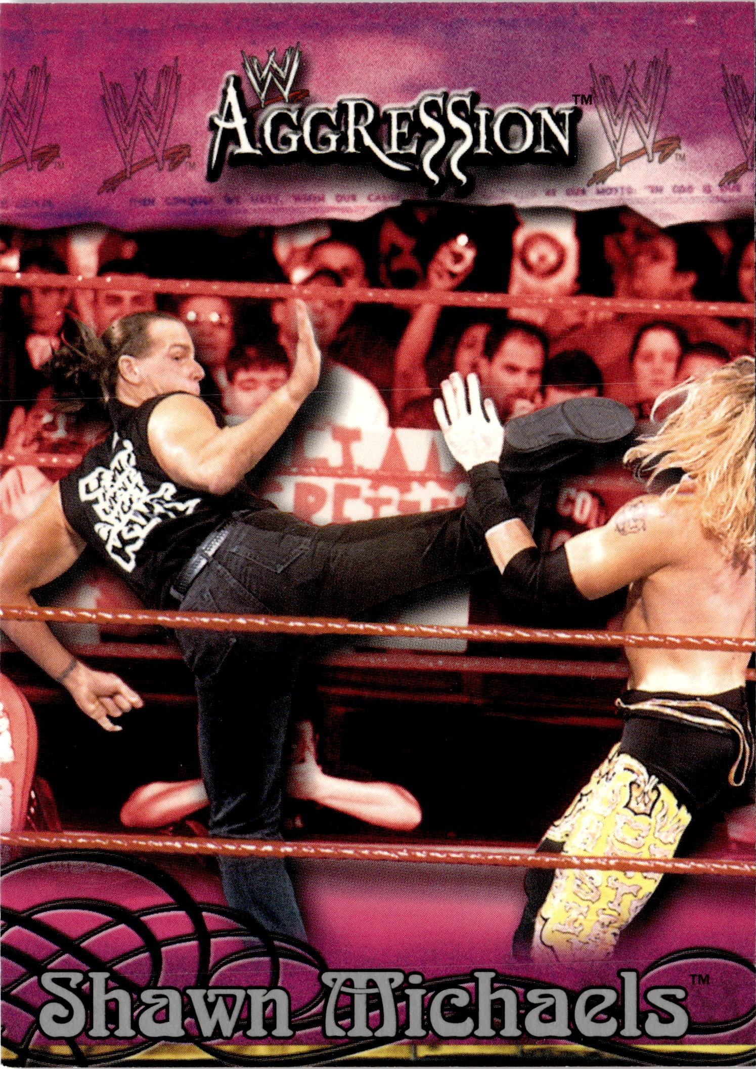 Shawn Michaels graded slab