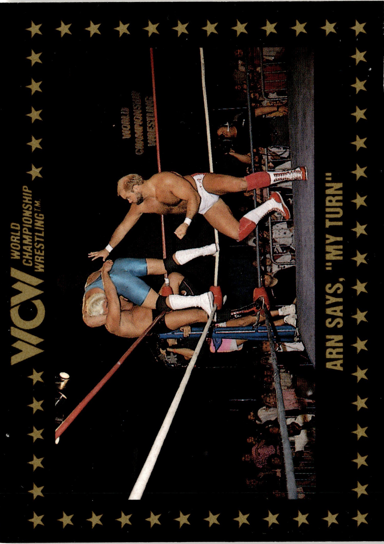 1991 Wcw Arn Anderson graded slab