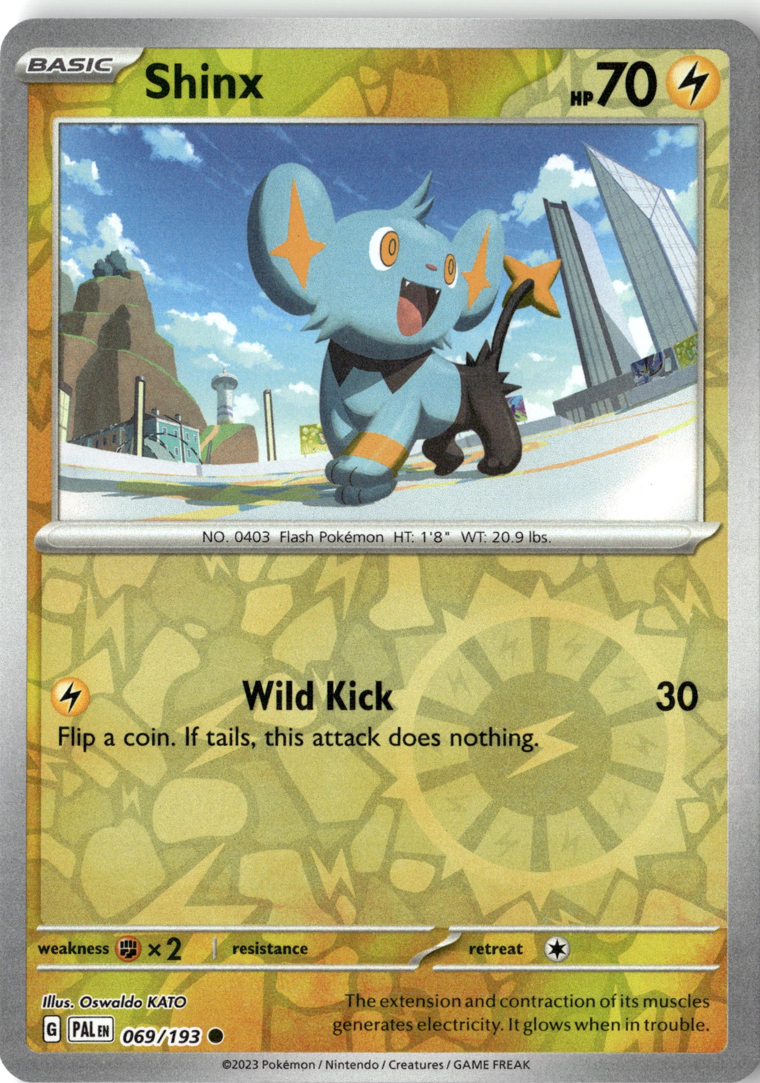 Shinx graded slab