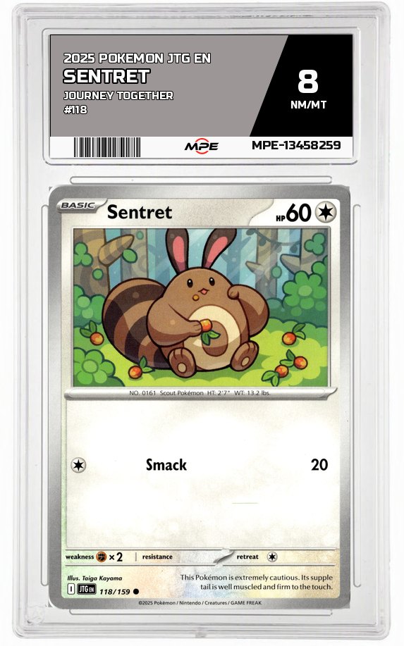 2025 POKEMON JTG EN JOURNEY TOGETHER #118 Sentret MPE 8 NM/MT — graded card auctioned from the MPE vault