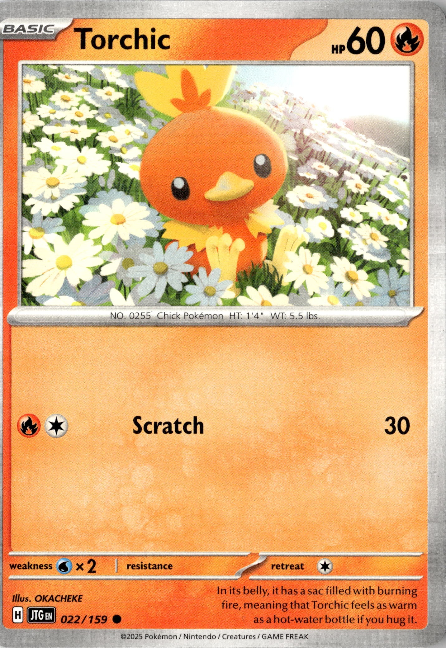 Torchic graded slab