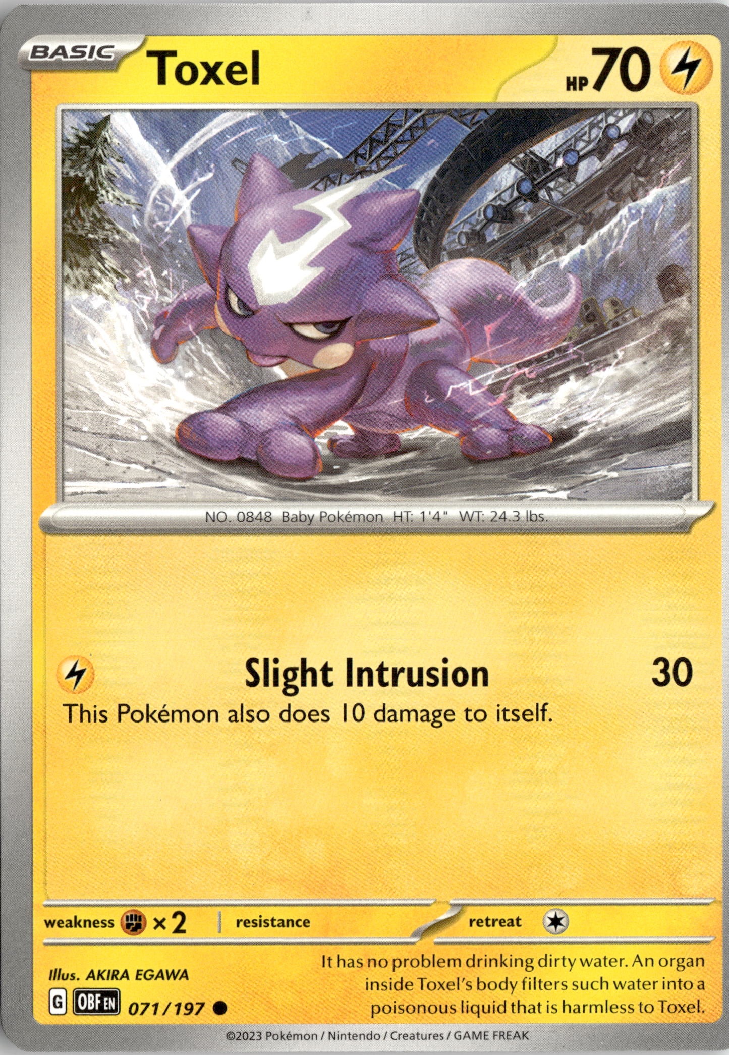 2023 Pokemon Obf En Toxel graded slab