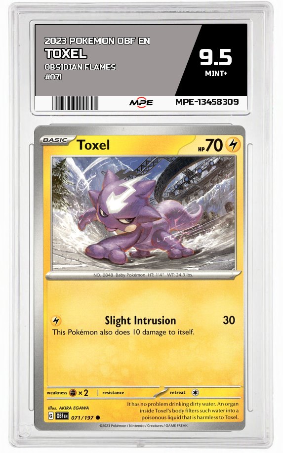 2023 POKEMON OBF EN OBSIDIAN FLAMES #071 Toxel MPE 9.5 MINT+ — graded card auctioned from the MPE vault