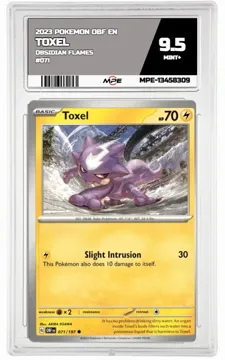 2023 POKEMON OBF EN OBSIDIAN FLAMES #071 Toxel MPE 9.5 MINT+ — graded card up for auction