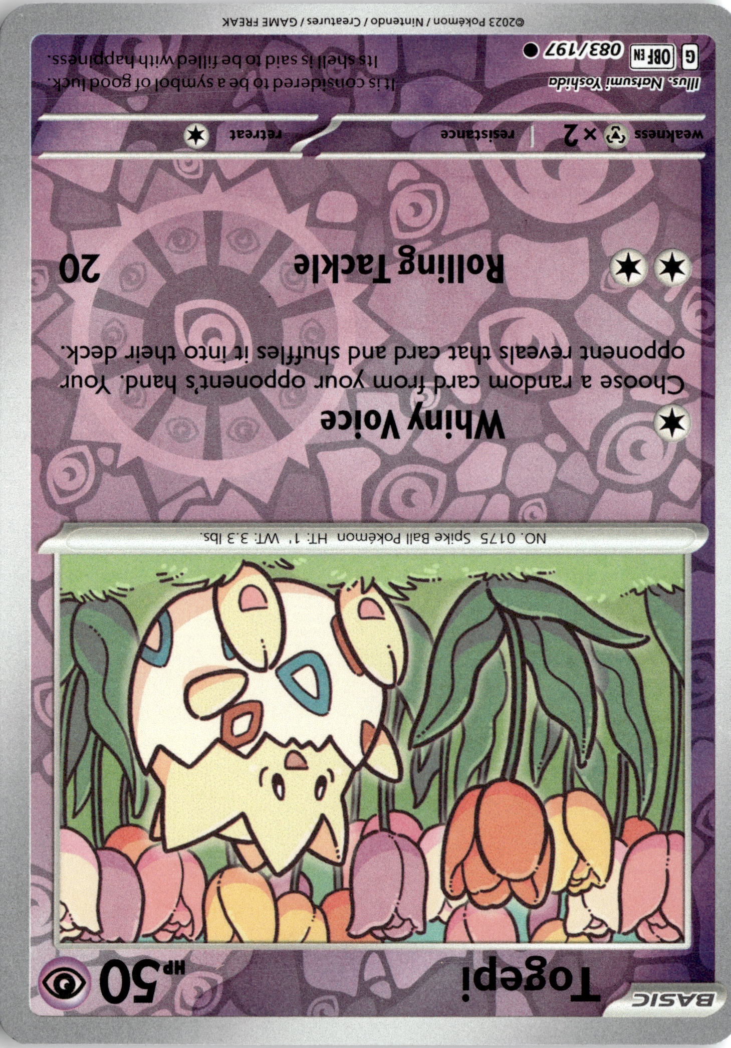 2023 Pokemon Obf En Togepi graded slab