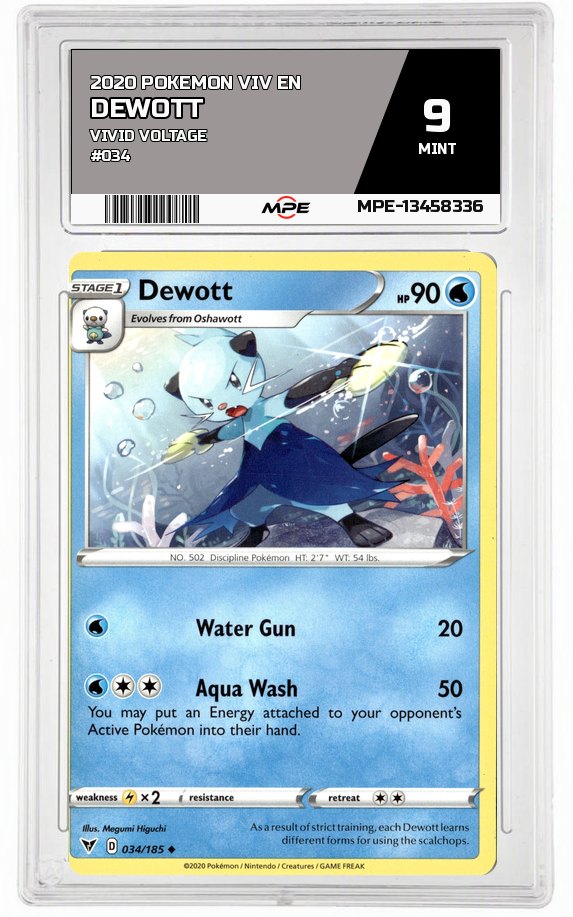2020 POKEMON VIV EN VIVID VOLTAGE #034 Dewott MPE 9 MINT — graded card auctioned from the MPE vault