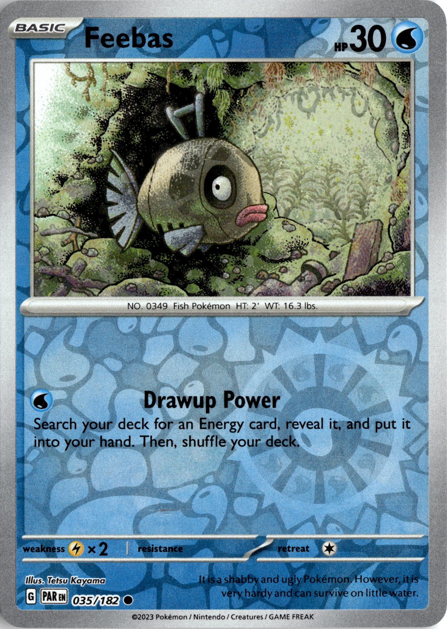 2023 Pokemon Par En Feebas graded slab