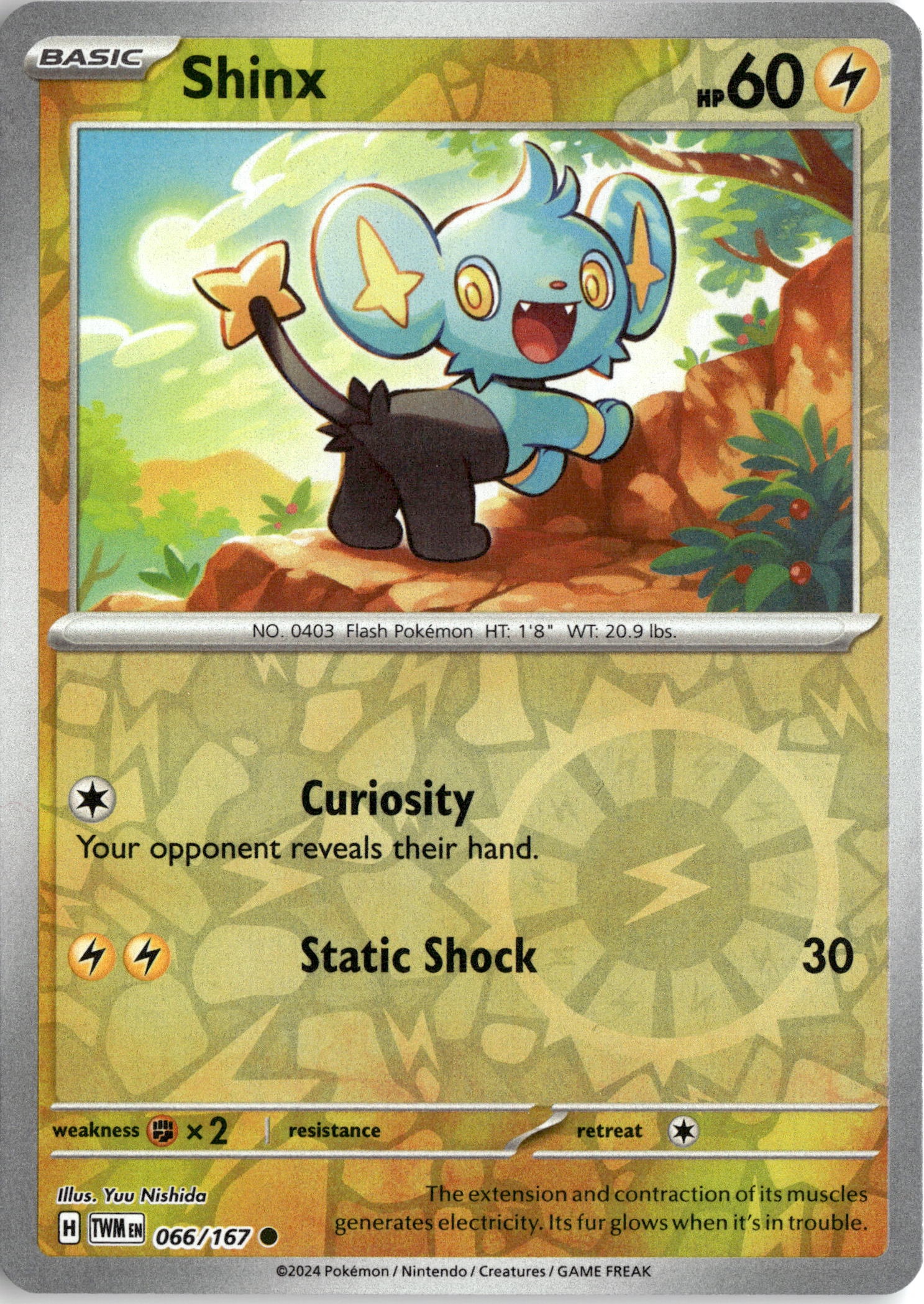 Shinx graded slab