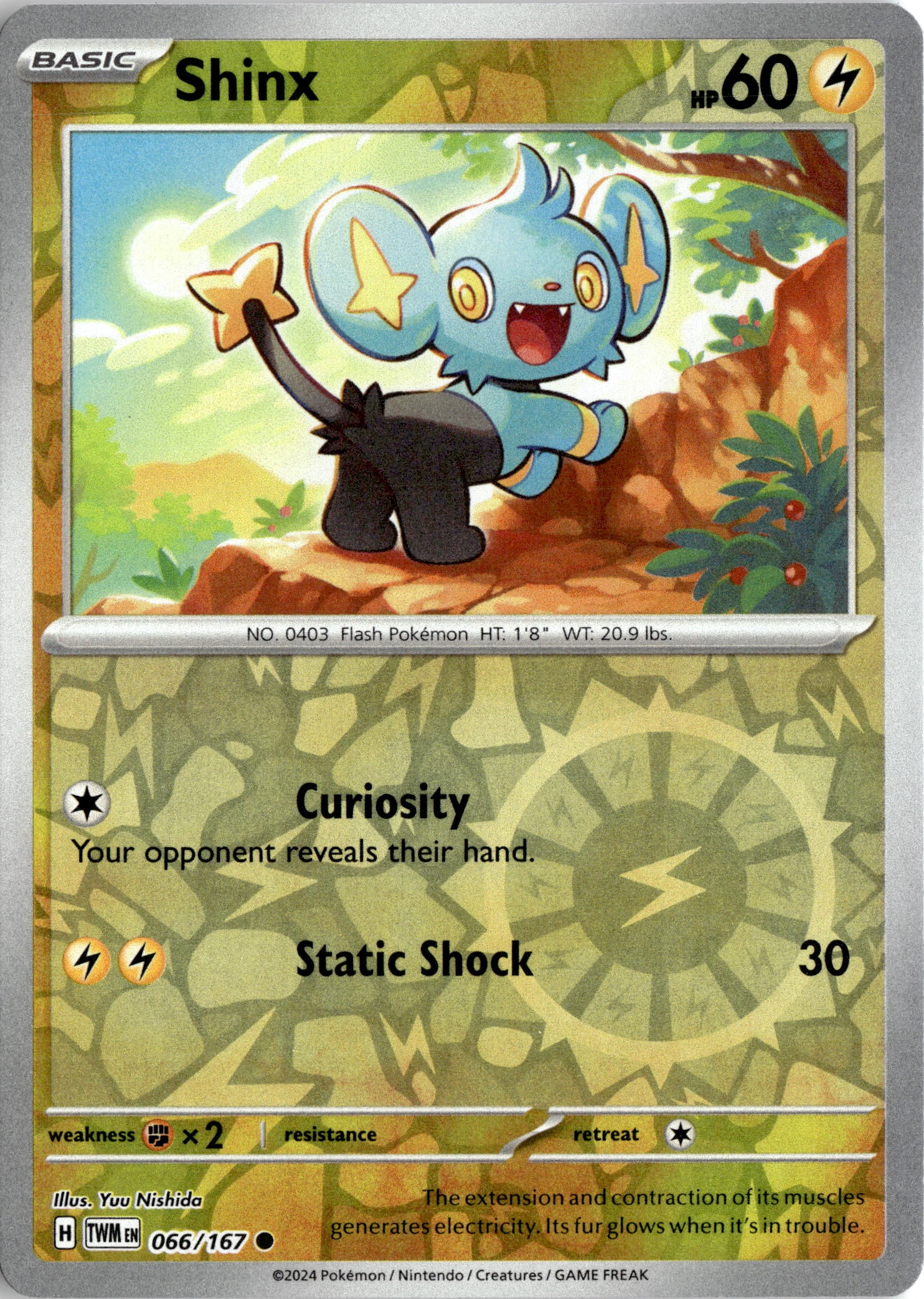 Shinx graded slab