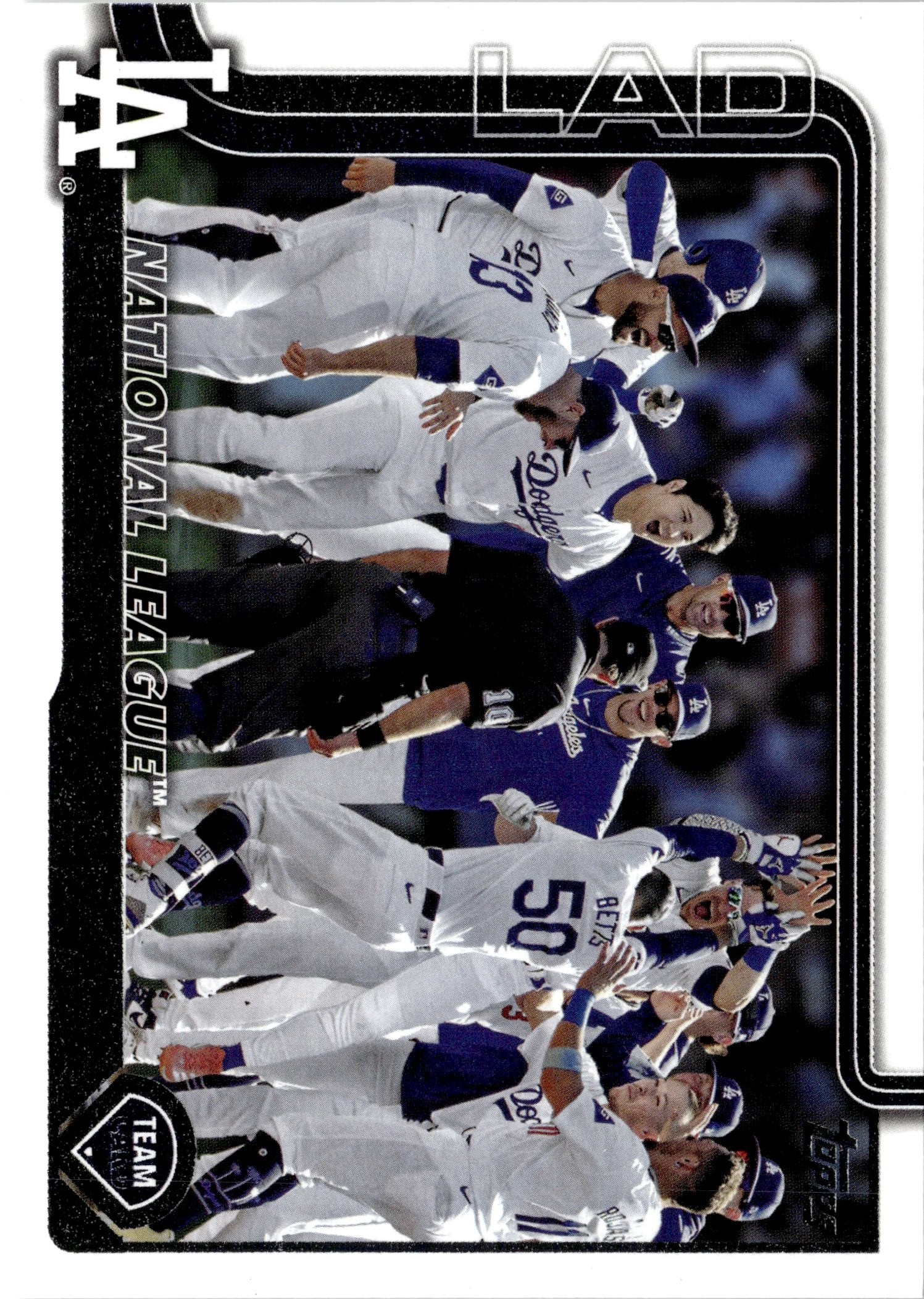 Shohei Ohtani graded slab