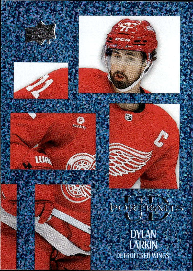 Dylan Larkin graded slab