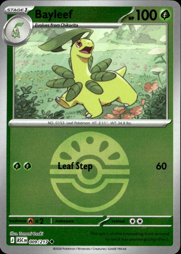 Bayleef graded slab