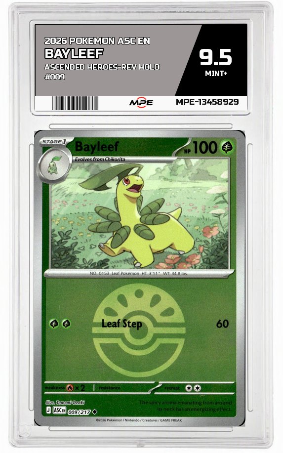 2026 POKEMON ASC EN ASCENDED HEROES-REV HOLO #009 BAYLEEF MPE 9.5 MINT+ — graded card auctioned from the MPE vault