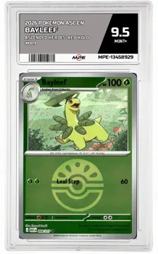 2026 POKEMON ASC EN ASCENDED HEROES-REV HOLO #009 BAYLEEF MPE 9.5 MINT+ — graded card up for auction