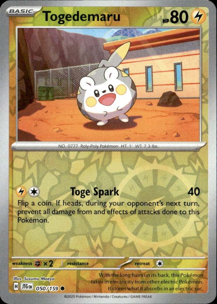 2025 Pokemon Jtg En Togedemaru graded slab