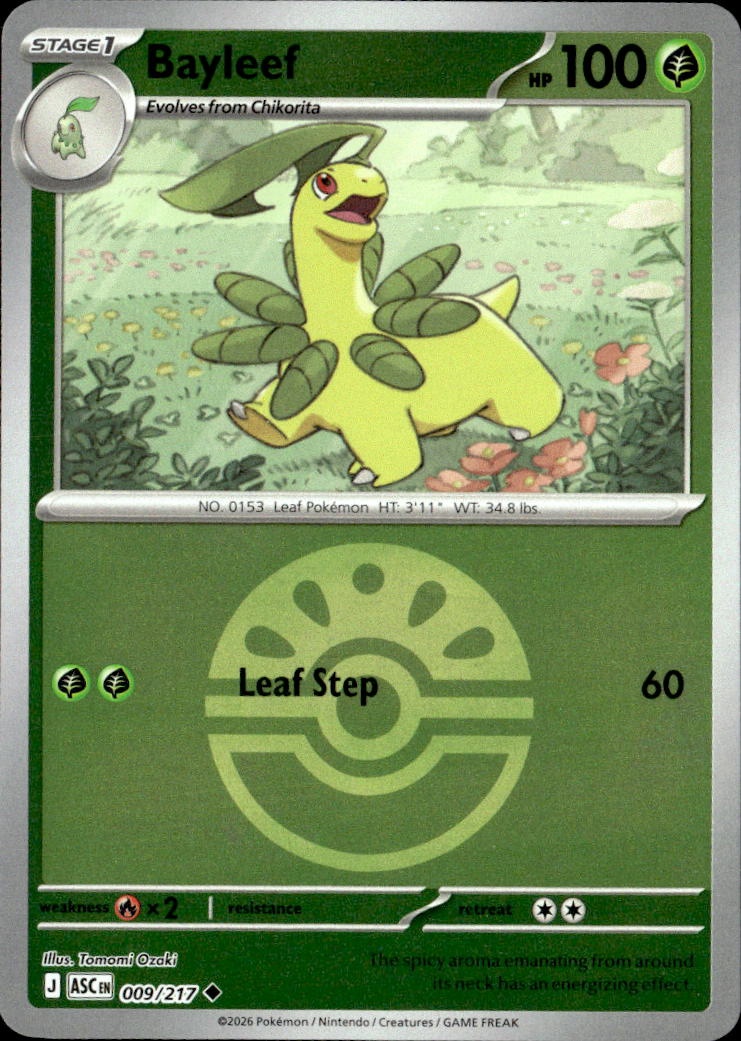 Bayleef graded slab