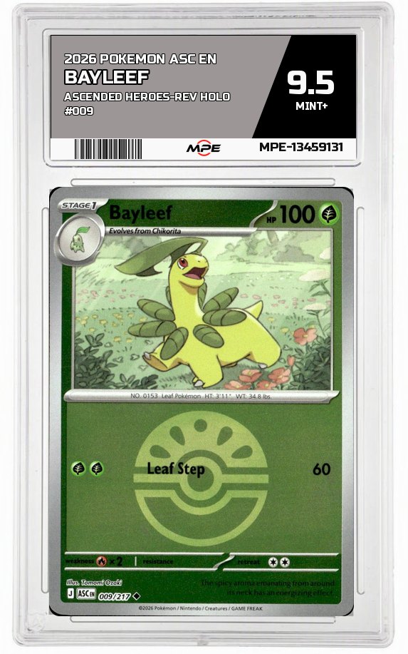 2026 POKEMON ASC EN ASCENDED HEROES-REV HOLO #009 BAYLEEF MPE 9.5 MINT+ — graded card auctioned from the MPE vault