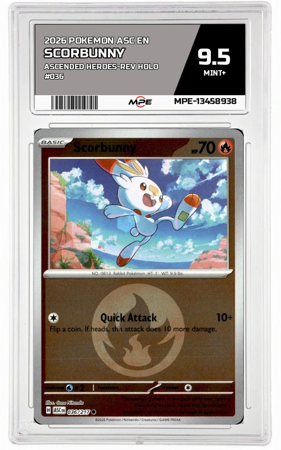 2026 POKEMON ASC EN ASCENDED HEROES-REV HOLO #036 SCORBUNNY MPE 9.5 MINT+ — graded card auctioned from the MPE vault