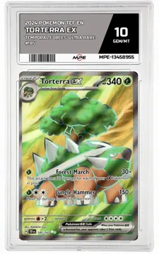 2024 POKEMON TEF EN TEMPORAL FORCES-Ultra Rare #185 TORTERRA EX MPE 10 GEM/MT — graded card up for auction