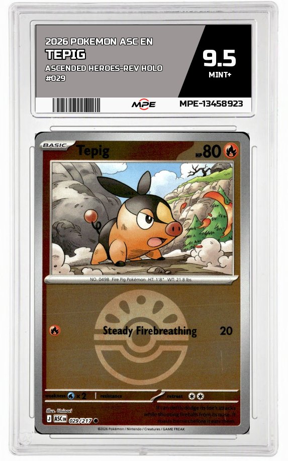2026 POKEMON ASC EN ASCENDED HEROES-REV HOLO #029 TEPIG MPE 9.5 MINT+ — graded card auctioned from the MPE vault