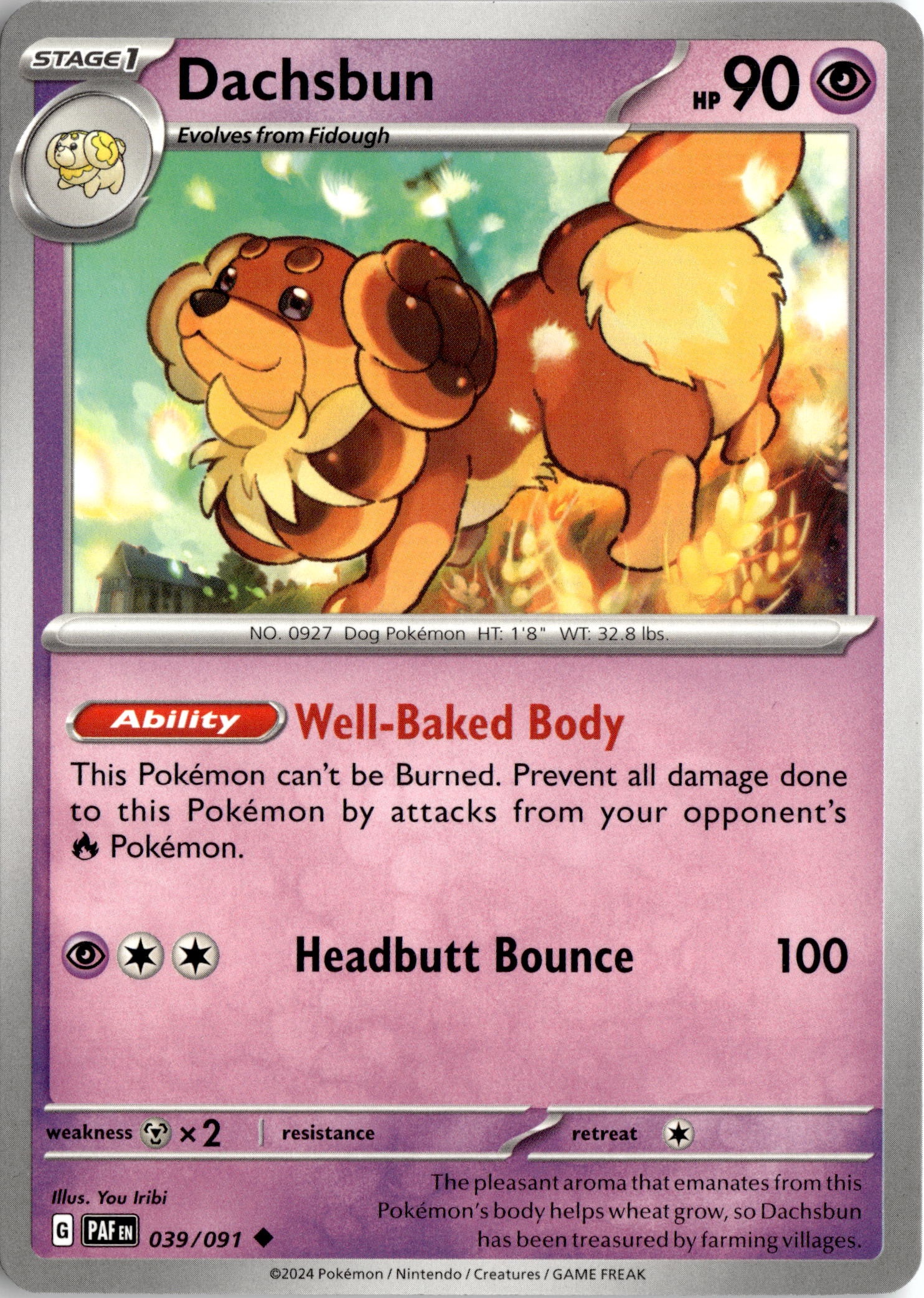 2024 Pokemon Scarlet And Violet Dachsbun graded slab