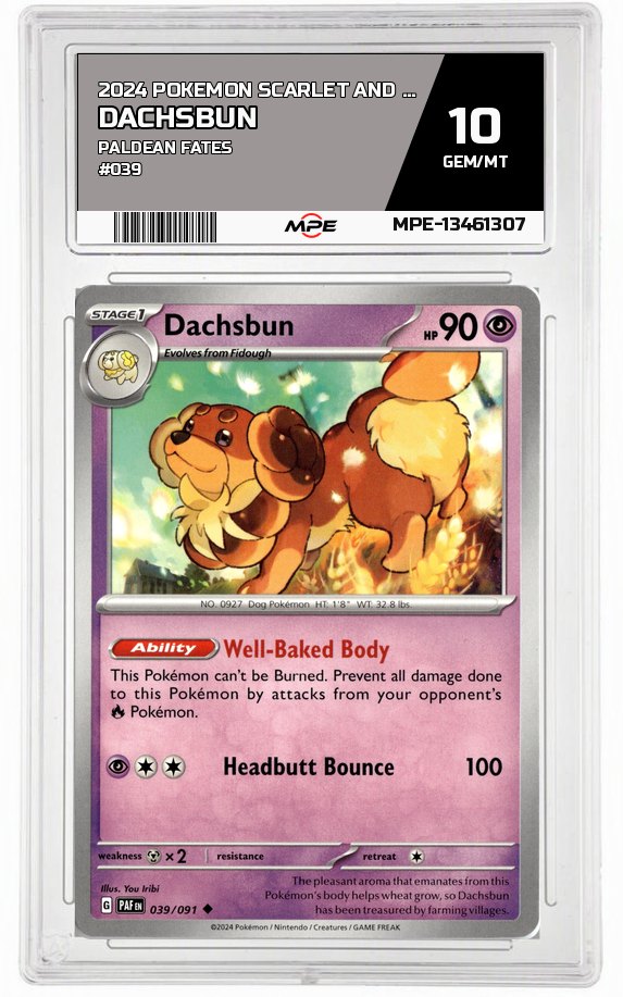 2024 POKEMON SCARLET AND VIOLET PALDEAN FATES #039 DACHSBUN MPE 10 GEM/MT — graded card auctioned from the MPE vault