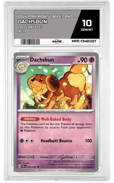 2024 POKEMON SCARLET AND VIOLET PALDEAN FATES #039 DACHSBUN MPE 10 GEM/MT — graded card up for auction