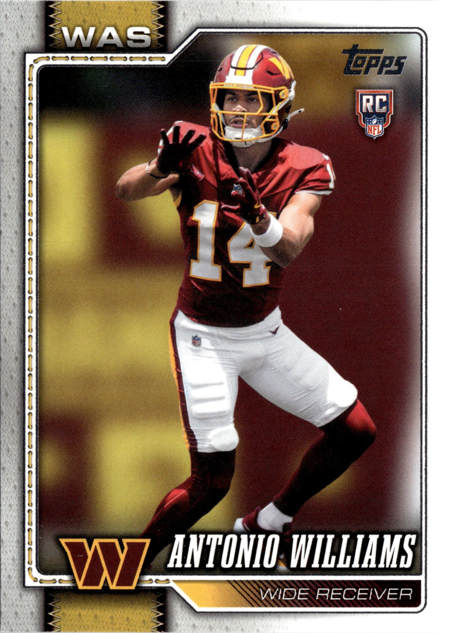 Antonio Williams graded slab