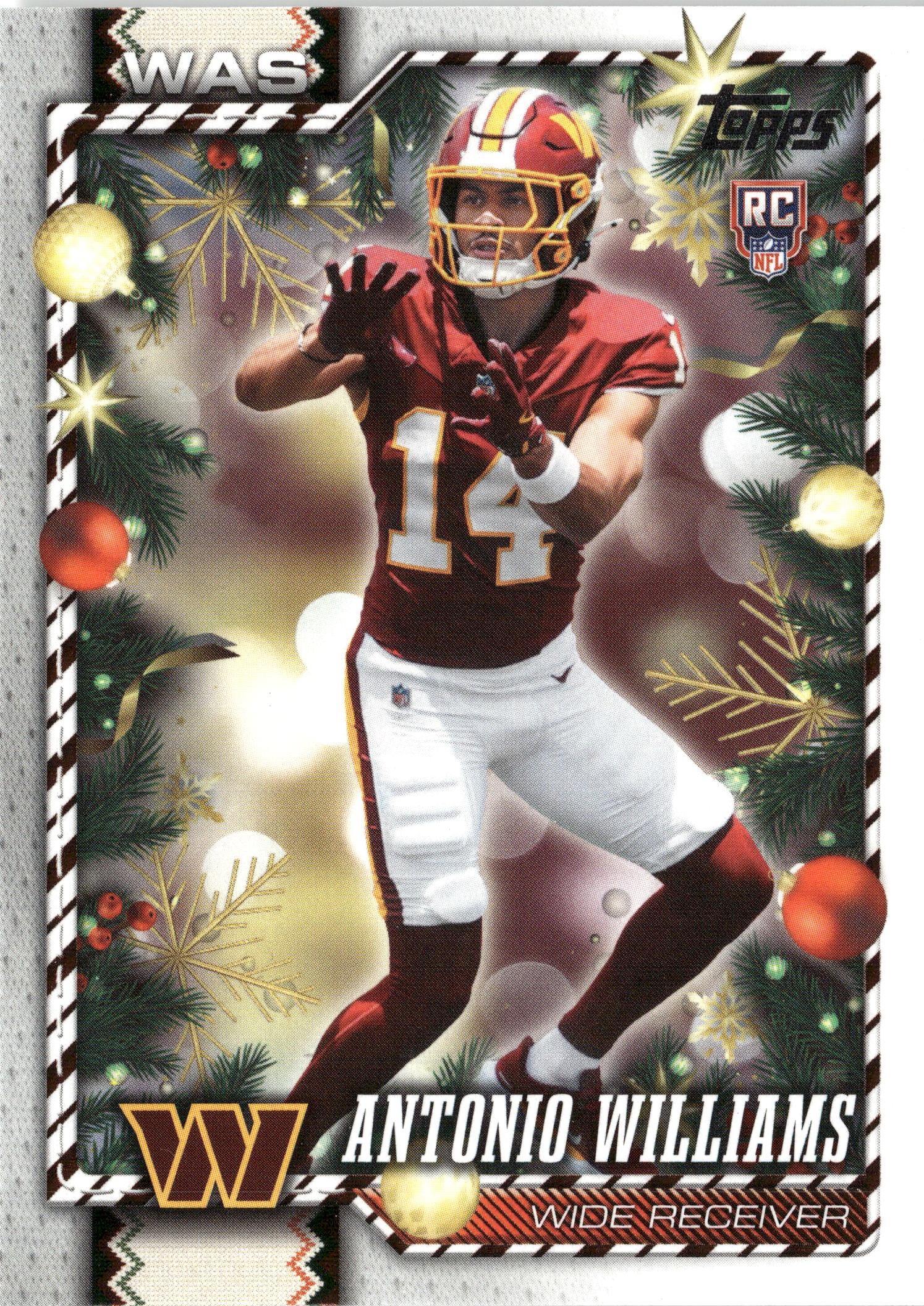 Antonio Williams graded slab