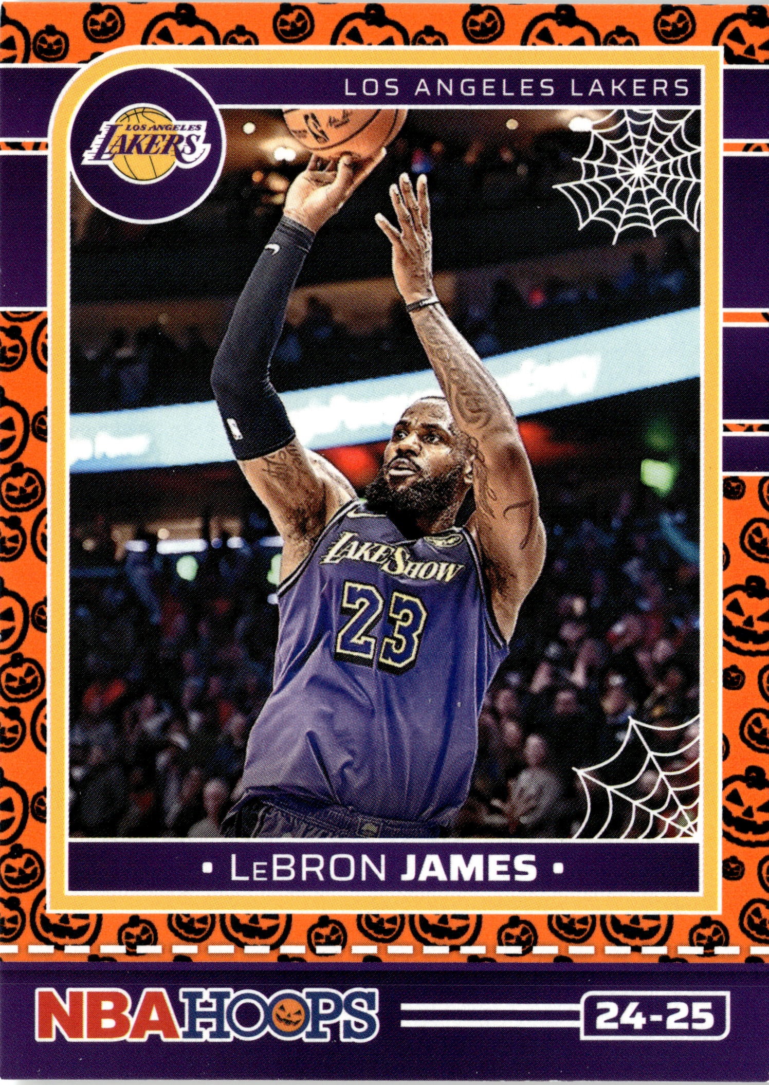 Lebron James graded slab