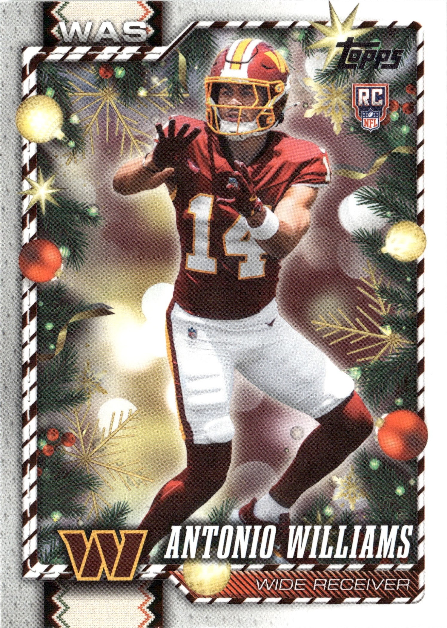Antonio Williams graded slab