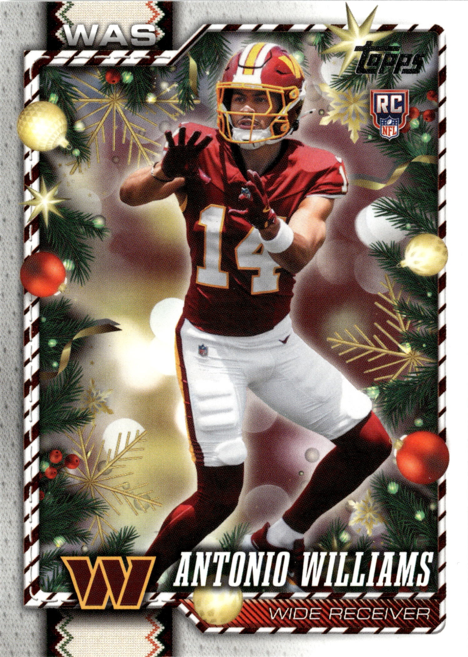 Antonio Williams graded slab